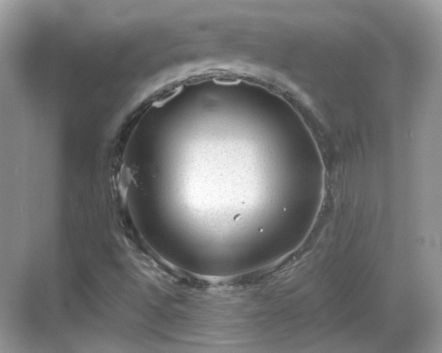 X0000068721496200605051419