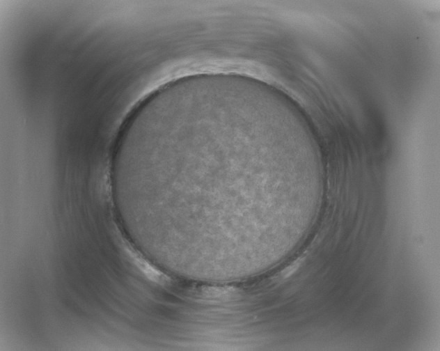 X0000068721498200605051419