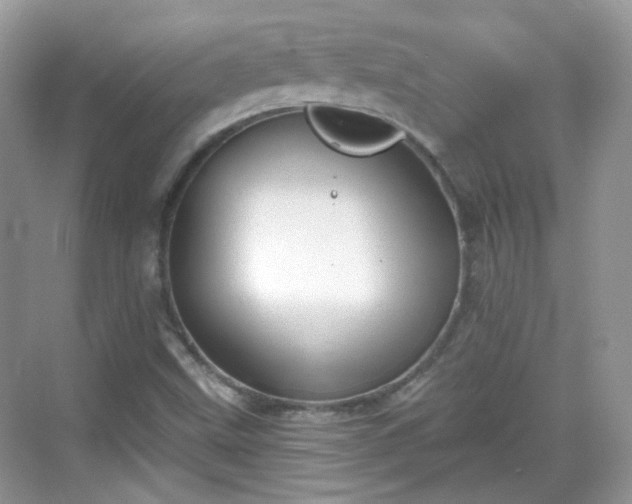 X0000068721499200605051419