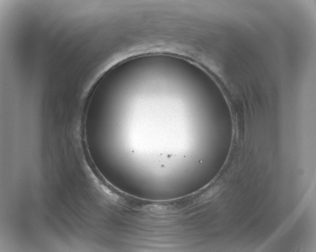 X0000068721500200605051419