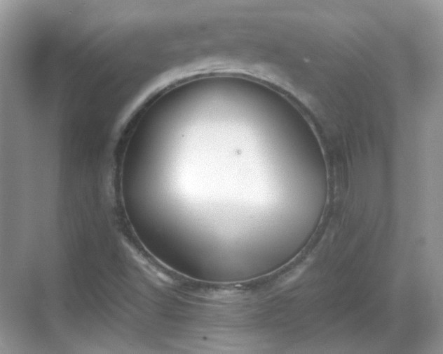 X0000068721502200605051419