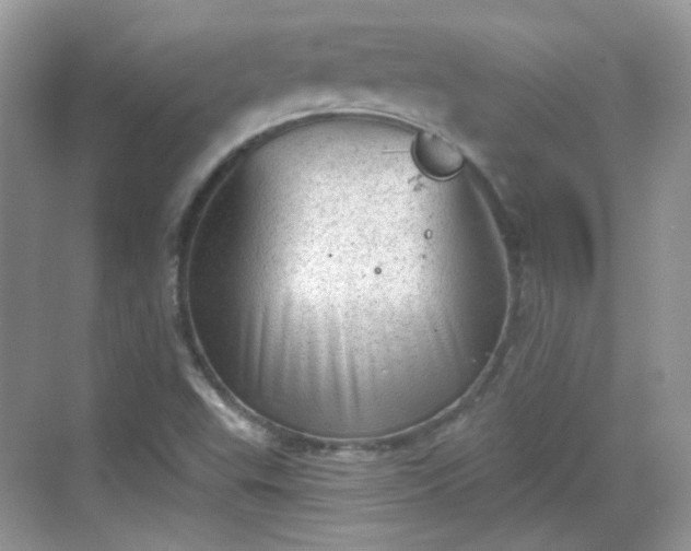 X0000068721503200605051419