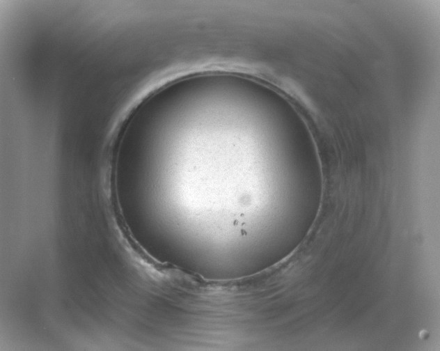 X0000068721504200605051419