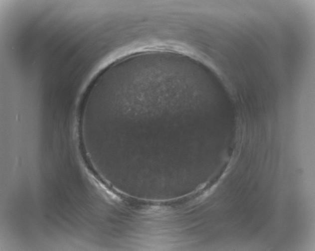 X0000068721506200605051419