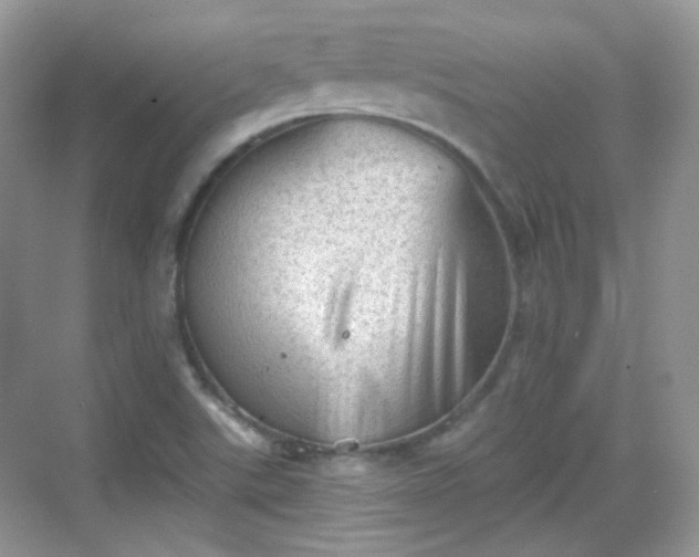 X0000068721507200605051419