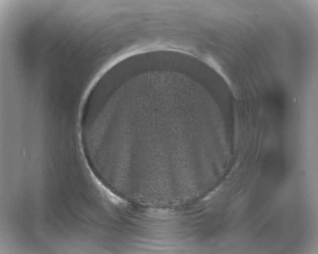 X0000068721508200605051419