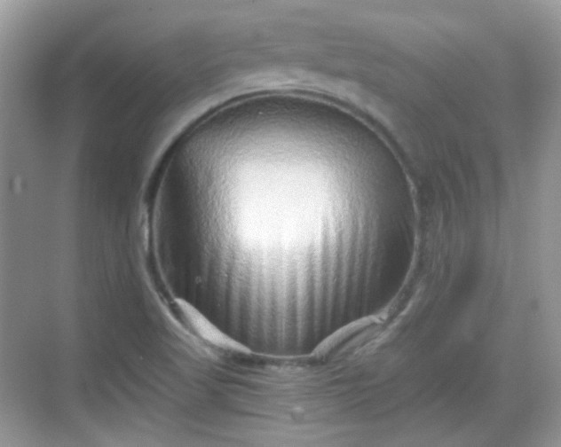 X0000068721509200605051419