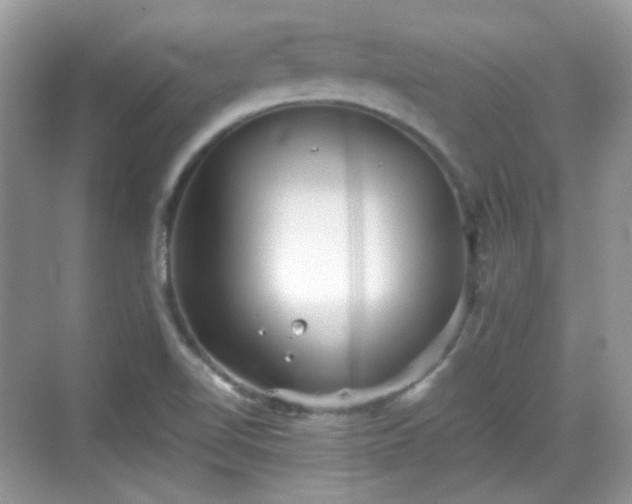 X0000068721510200605051419