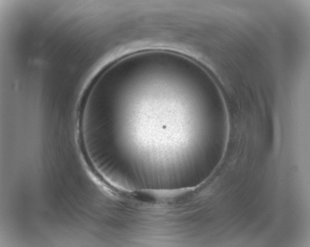 X0000068721511200605051419