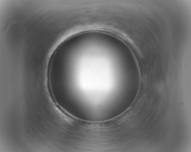 X0000068721512200605051419