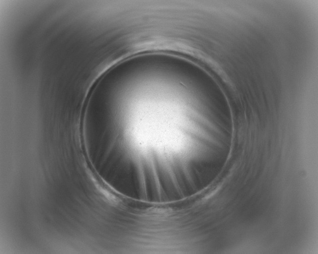 X0000068721513200605051419