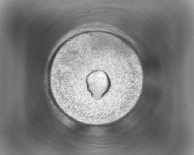 X0000068721514200605051420