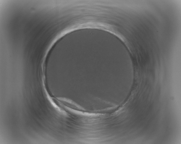 X0000068721515200605051420