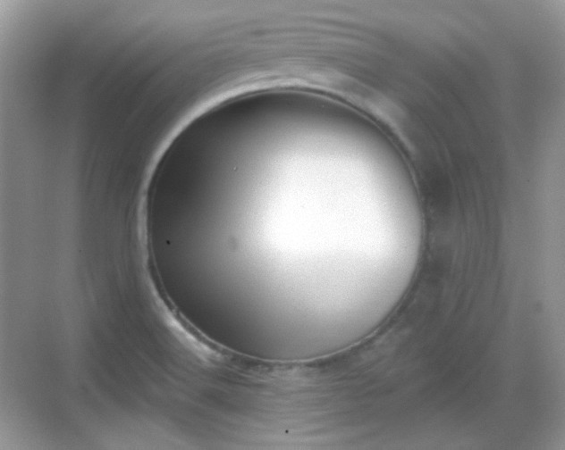 X0000068721516200605051420