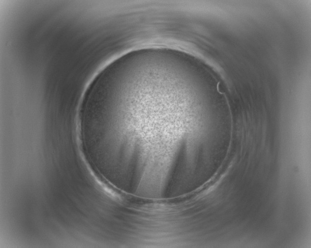 X0000068721517200605051420