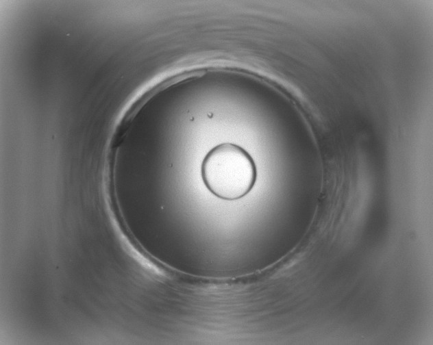 X0000068721518200605051420