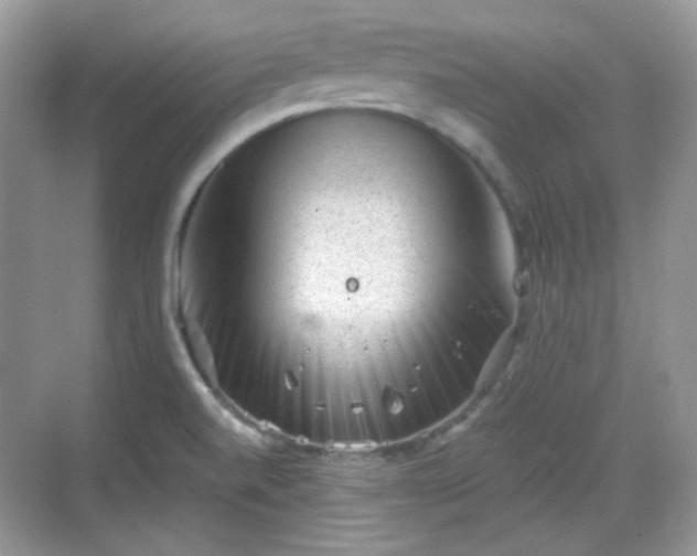 X0000068721520200605051420