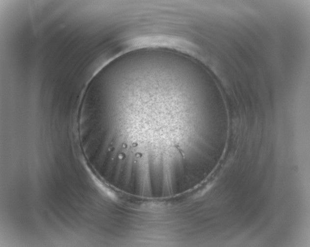 X0000068721521200605051420