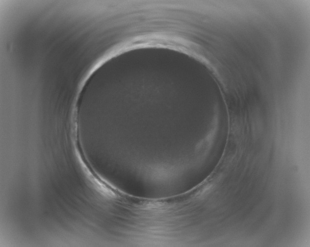 X0000068721522200605051420