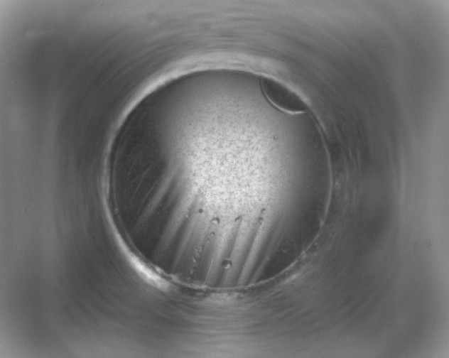 X0000068721523200605051420