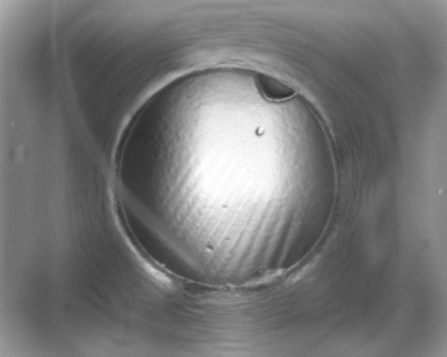 X0000068721525200605051420