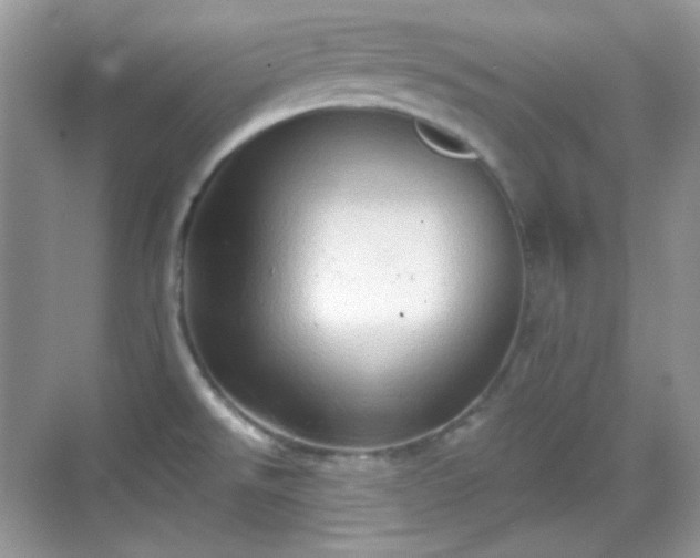 X0000068721526200605051420