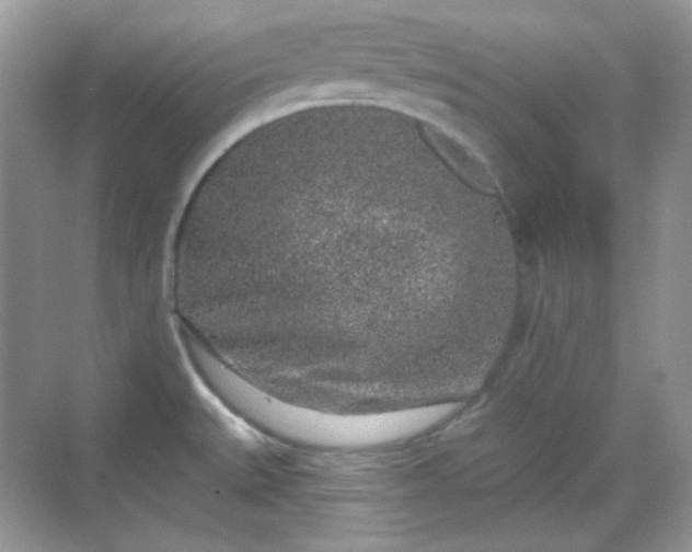 X0000068721527200605051420