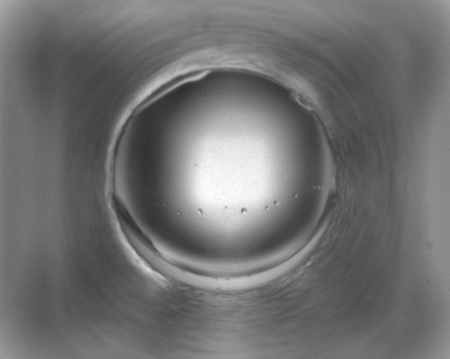 X0000068721528200605051420