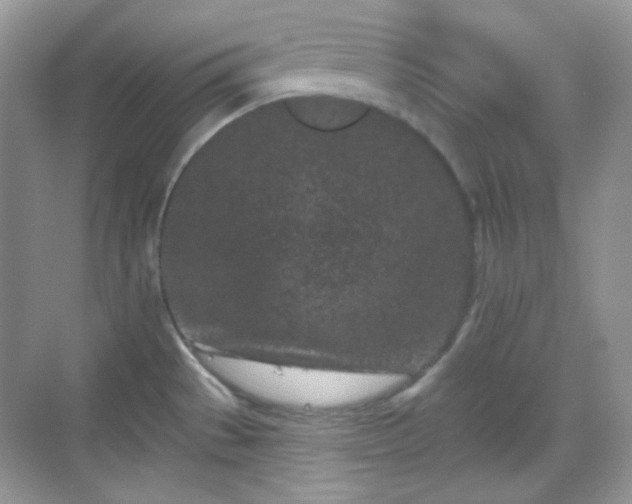 X0000068721529200605051420