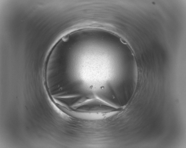 X0000068721531200605051420