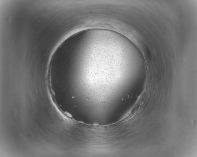 X0000068721536200605051420