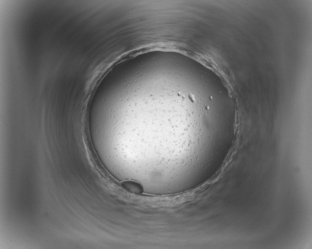 X0000068720001200605121504