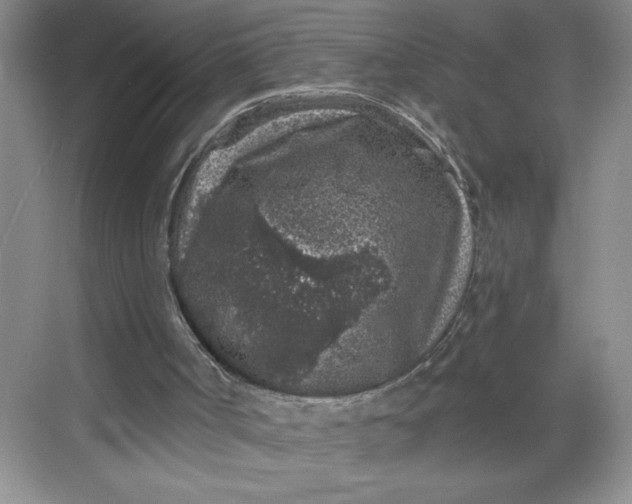 X0000068720002200605121504