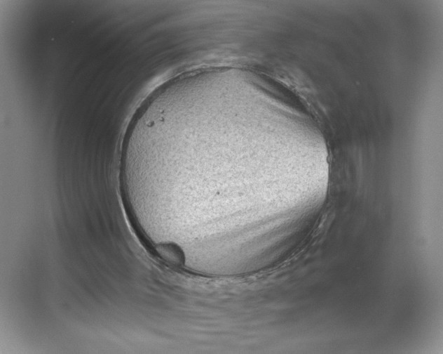 X0000068720003200605121504