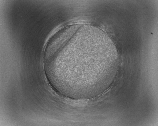 X0000068720004200605121504