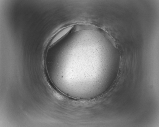 X0000068720005200605121504