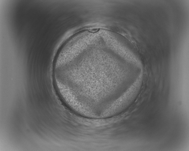 X0000068720006200605121504