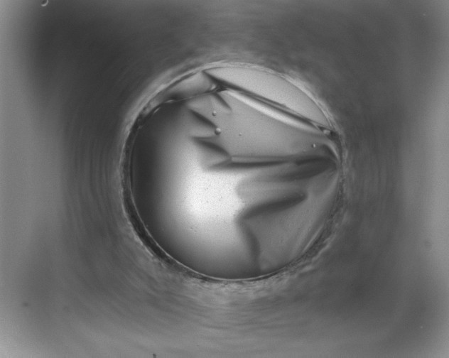 X0000068720007200605121504