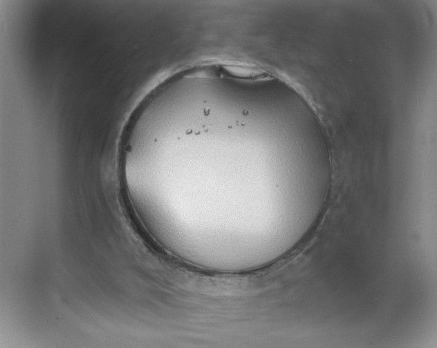 X0000068720008200605121504