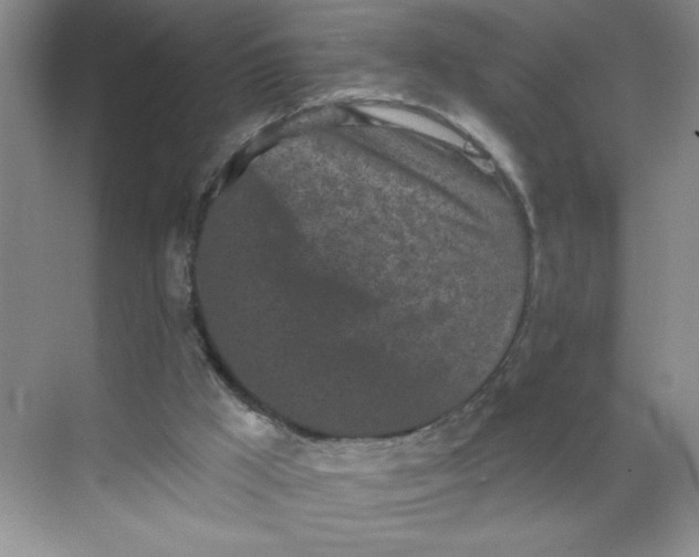 X0000068720009200605121504