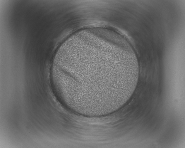 X0000068720010200605121504