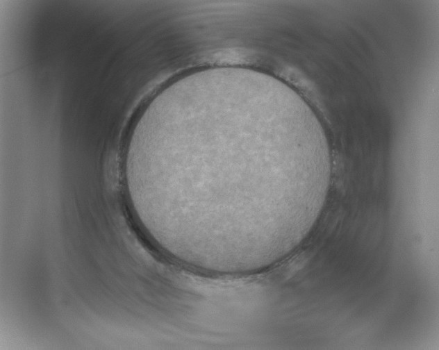 X0000068720012200605121504