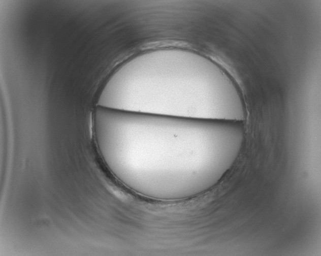 X0000068720013200605121504