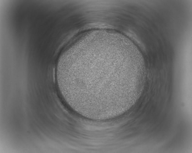 X0000068720014200605121504