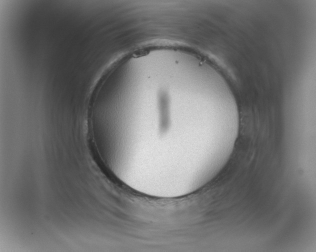 X0000068720015200605121504