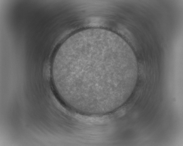 X0000068720016200605121504