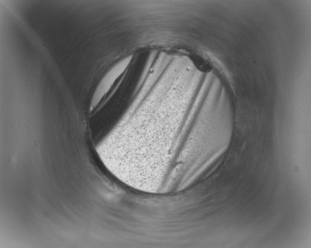 X0000068720017200605121504