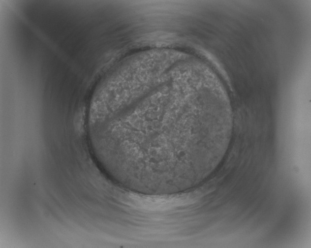 X0000068720018200605121504