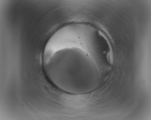 X0000068720019200605121504