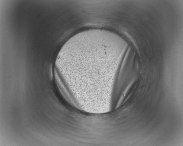 X0000068720020200605121504